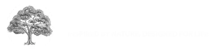Katherine A. Brown, D.D.S